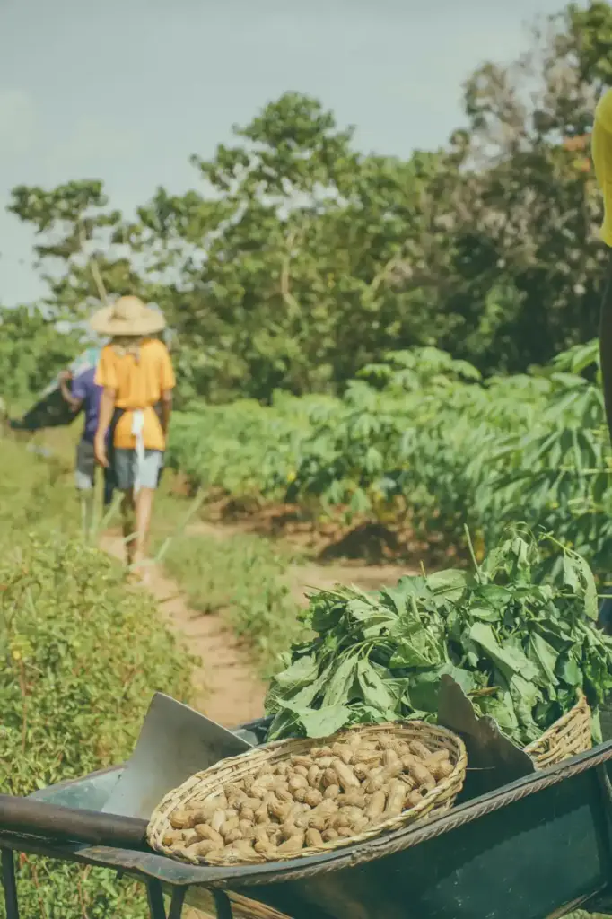 Discover the best organic coffee in London. Explore top cafes and roasters offering rich, flavorful, and sustainably sourced coffee experiences.