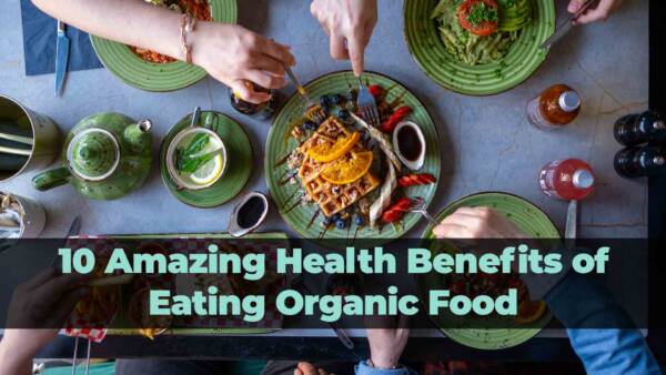 10 Amazing Health Benefits of Eating Organic Food